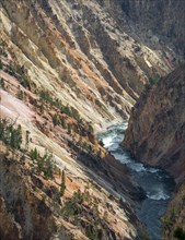 River flowing through Sulphur Canyon