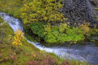 Colourful autumn colours at a small waterfall with basalt columns