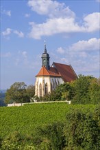 Pilgrimage church Maria im Weingarten