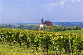 Pilgrimage church Maria im Weingarten