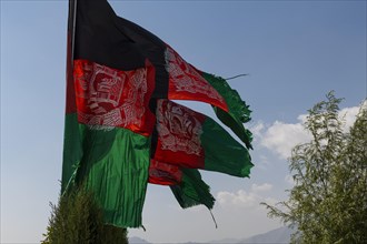 Afghan flags