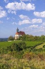 Pilgrimage church Maria im Weingarten