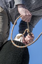 Young man tying a knot in a rope of a fender
