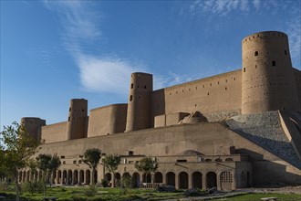 The citadel of Herat