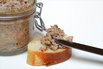 Slice of bread with meat pate