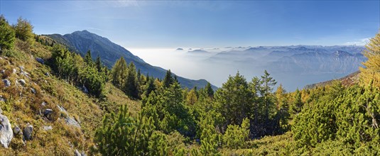 Mountain forest with Lake Garda