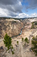 Yellowstone River flows through Gorge