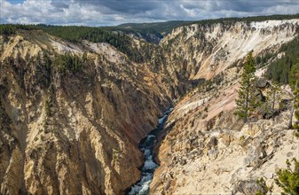 Yellowstone River flows through Gorge