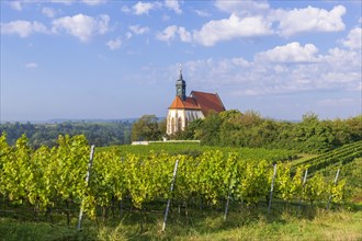 Pilgrimage church Maria im Weingarten