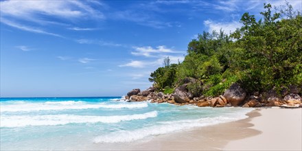 Anse Georgette Beach on Praslin Island with Palm Panorama Sea in the Seychelles