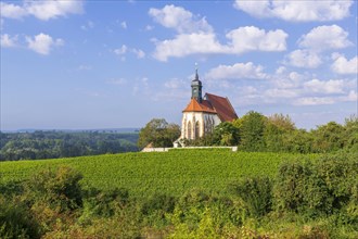 Pilgrimage church Maria im Weingarten