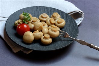 Pickled canned common mushrooms