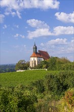 Pilgrimage church Maria im Weingarten