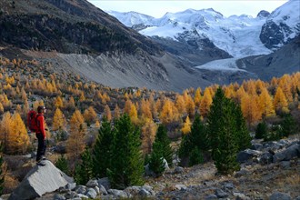 Woman looking at the Morteratsch glacier with larches