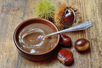 Chestnut cream in shell and sweet chestnuts
