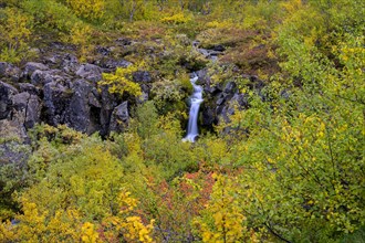 Colourful autumn colours and a small stream
