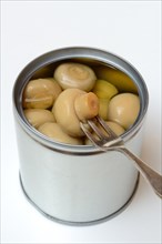 Canned pickled common mushrooms