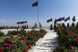 Afghan flags