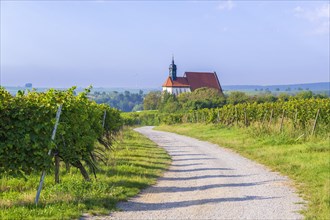 Pilgrimage church Maria im Weingarten