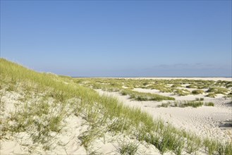 Sand dune and wide beach near Wittduen