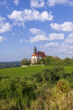 Pilgrimage church Maria im Weingarten