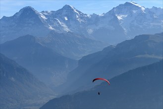 Paraglider on the Niederhorn
