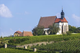 Pilgrimage church Maria im Weingarten