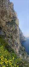 Steep wall of the old coastal road and hiking trail Via Ponale