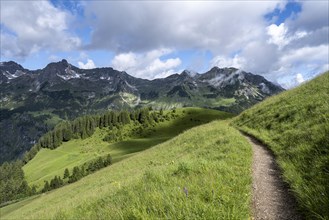 Lonely hiking trail