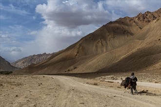 Man with his horse in the valley of