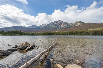 Rocks and tree trunks on the shore of Pyramid Lake