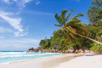 Anse Georgette Beach