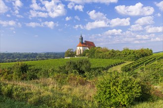 Pilgrimage church Maria im Weingarten