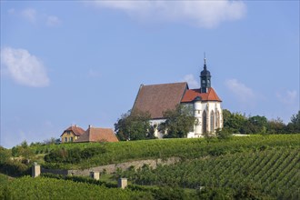 Pilgrimage church Maria im Weingarten