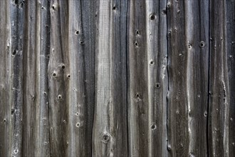 Old wooden boards as a wall of a barn
