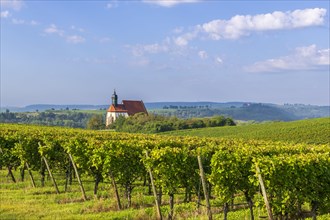 Pilgrimage church Maria im Weingarten