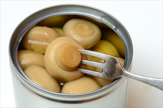 Canned pickled common mushrooms