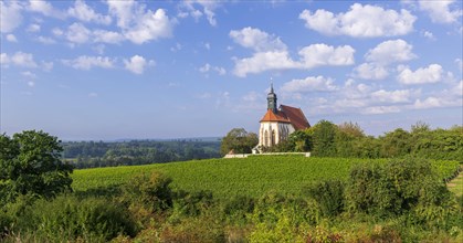 Pilgrimage church Maria im Weingarten