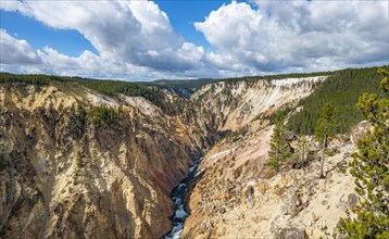 Yellowstone River flows through Gorge