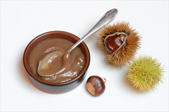 Chestnut cream in shell and sweet chestnuts