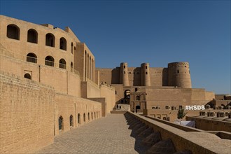 The Citadel of Herat