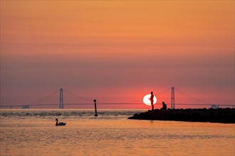 Silhouette of two men fishing with the Great Belt Bridge in the background