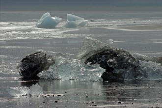 Pieces of ice lying on wide black beach