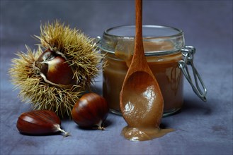 Chestnut cream in glass and sweet chestnuts