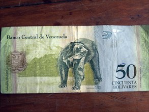 Banknote with Andean Bear