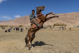 Horse rider at a Buzkashi game