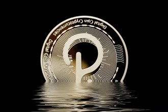 Front of the cryptocurrency Polkadot sinking in the floods