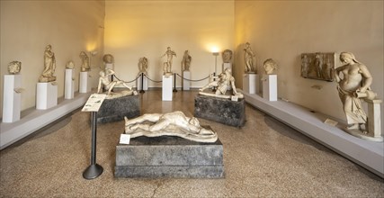 Marble statues in the Museo Correr