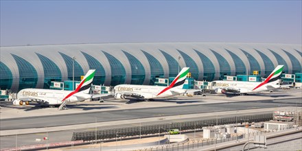 Emirates Airbus A380-800 aircraft at Dubai Airport