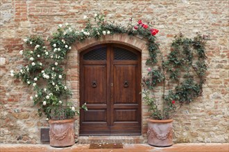 Old wooden door with roses